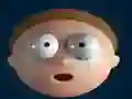 Elastic Face
