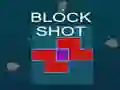 Block Shot