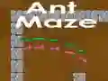 Ant maze