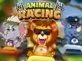 Animal Racing