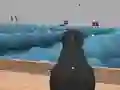 Ships 3D