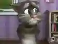 Talking Tom Cat 2