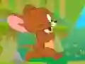 Jerry Forest Adventure