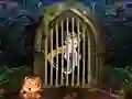 Cute Pirate Girl Escape