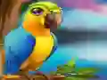 Little Parrot Escape
