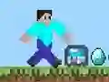 Pro Steve