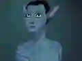 Navi Maker