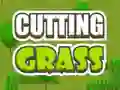 Cutting Grass