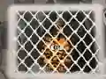 Tiger Escape 1