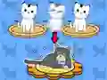 Cat Condo