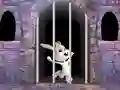 Victory Rabbit Escape