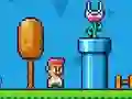Ninja Plumber