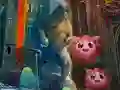 Courageous Peacock Escape