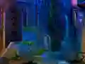 Winning Bear Escape