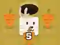 Bunny Hop Puzzle