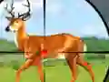 Wild Hunt Hunting Games 3D