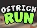 Ostrich Run