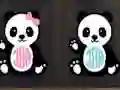 Find Camping Panda