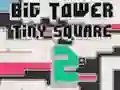 Big Tower Tiny Square 2