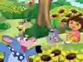 Dora find differences