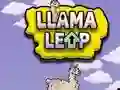 Llama Leap