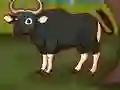 Escape The Banteng