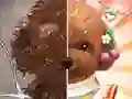 Pet Makeup Master