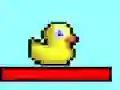 Ducky Adventures
