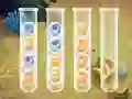 Sort Bubbles
