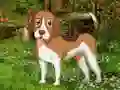 Flower Garden Dog Escape