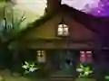 Mountain Forest Escape
