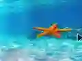 Escape From Underwater Starfish