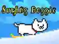 Surfing Doggie