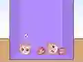 Evolution of Cat Memes