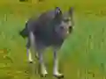 The Wolf: Wild Animal Simulator