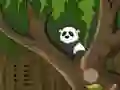 Panda Jungle Escape
