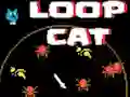 Loop Cat