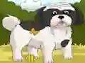 Dogs Spot the Diffs Part 2