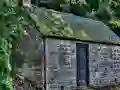 Trapped White Crow Escape