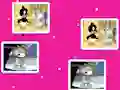 Baby Looney Tunes Match Up