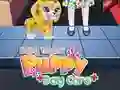Baby Taylor Puppy Daycare