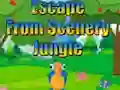 Escape from Scenery Jungle
