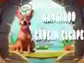 Kangaroo Cavern Escape