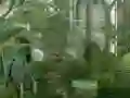 Mystery Garden Escape
