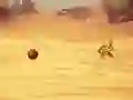 Monkey Shooting