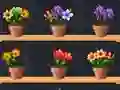 Good Flower Master