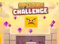 Sponge Challenge