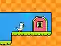 Times Table Duck