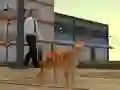 Cat City Simulator