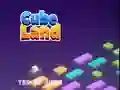 Cube Land